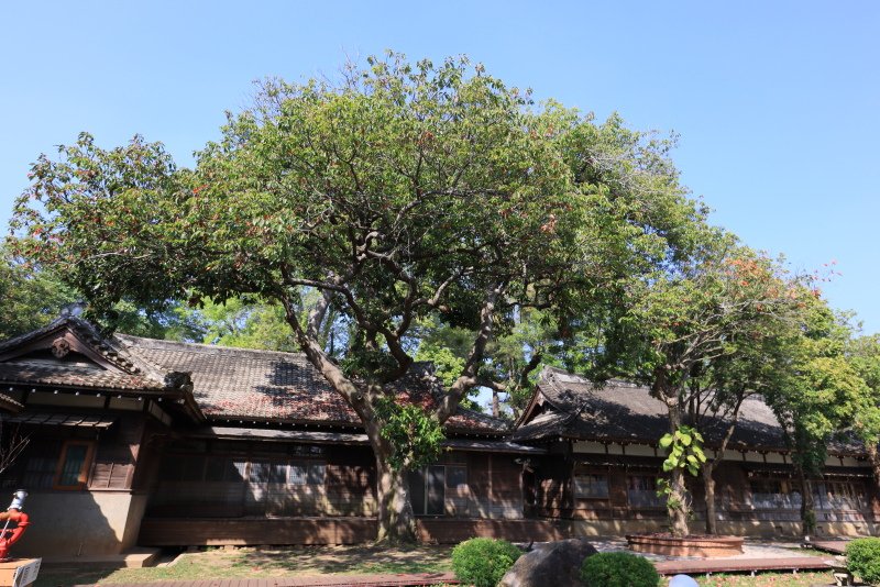 嘉義 昭和十八j18 嘉義公園日式神社體驗濃濃和風 輕旅行